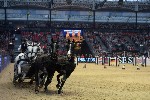 Extreme - 00549